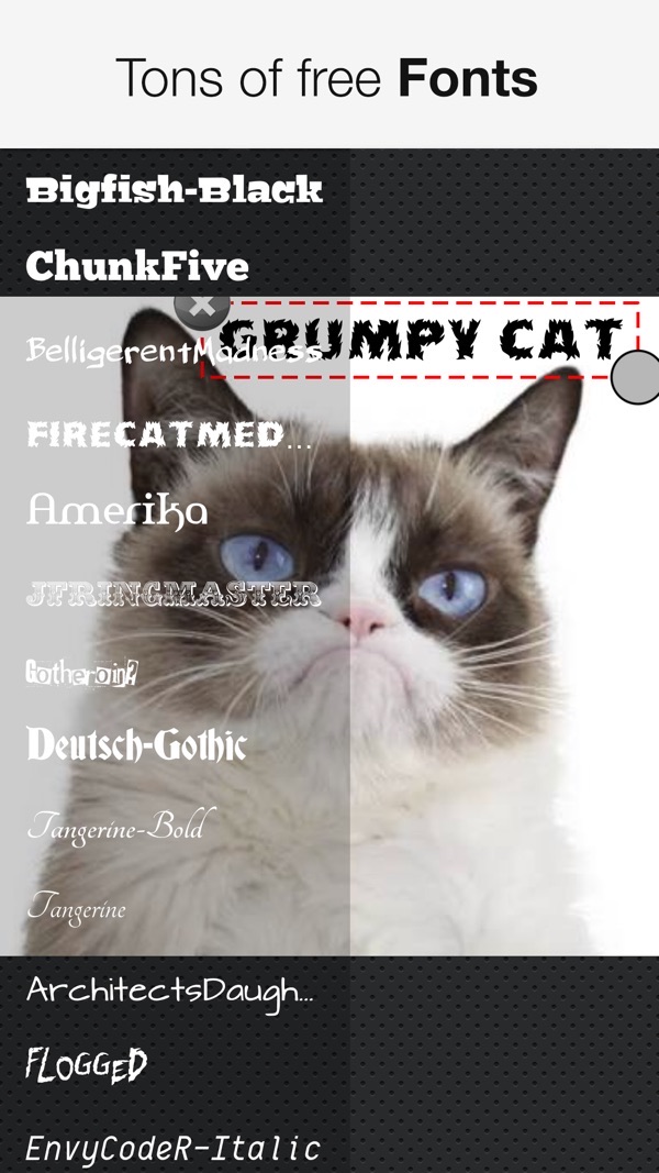 Speech Bubbles screenshot: a cat photo captioned with a font list