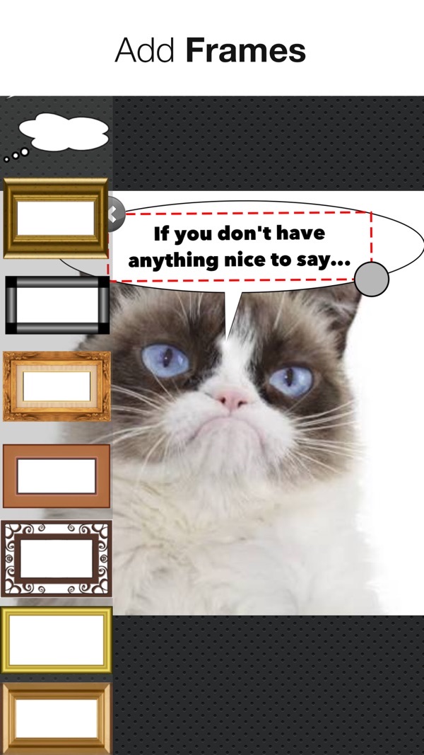 Speech Bubbles screenshot: a cat photo with a speech bubble and frame